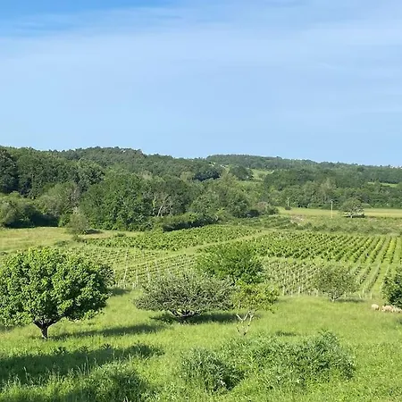 Chai Nous ! Maison Renovee Sur Un Domaine Viticole Proche De Saint Emilion Holiday home Gardegan-et-Tourtirac